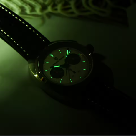PAGANI DESIGN Herren-Chronograph – Luxus Sportuhr mit VK63 Quarzwerk & Saphirglas | Wasserdicht & Echtlederarmband | Zeyra® | Versand aus DE