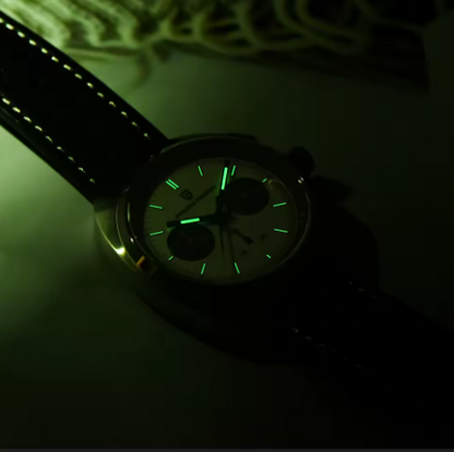PAGANI DESIGN Herren-Chronograph – Luxus Sportuhr mit VK63 Quarzwerk & Saphirglas | Wasserdicht & Echtlederarmband | Zeyra® | Versand aus DE